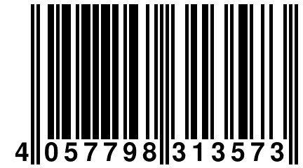 4 057798 313573