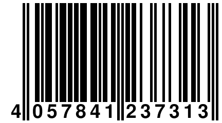 4 057841 237313