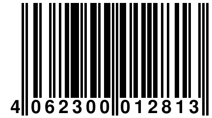 4 062300 012813