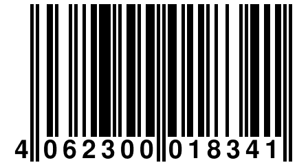 4 062300 018341