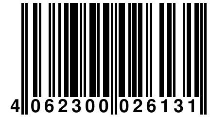 4 062300 026131