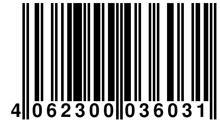 4 062300 036031