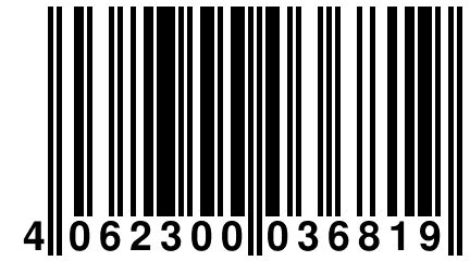 4 062300 036819