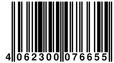 4 062300 076655