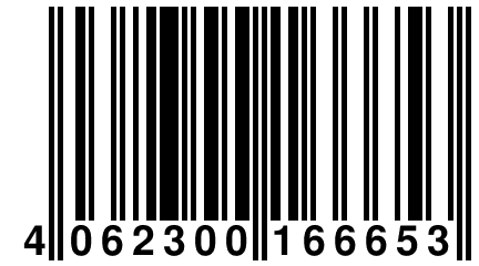 4 062300 166653