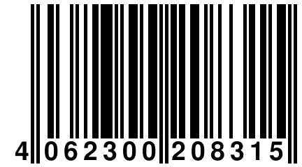 4 062300 208315