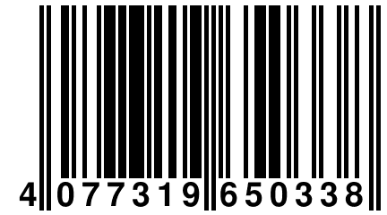 4 077319 650338