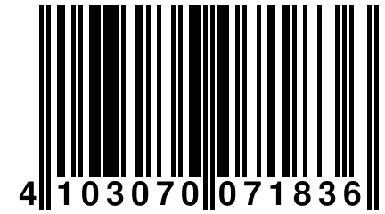 4 103070 071836