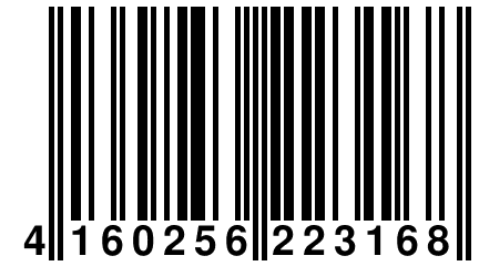 4 160256 223168