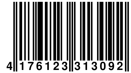 4 176123 313092