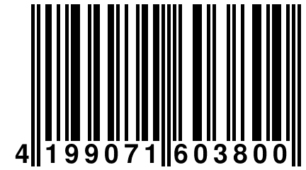 4 199071 603800