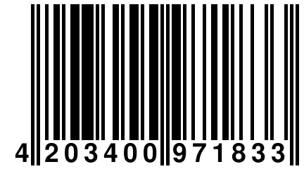 4 203400 971833