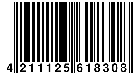 4 211125 618308