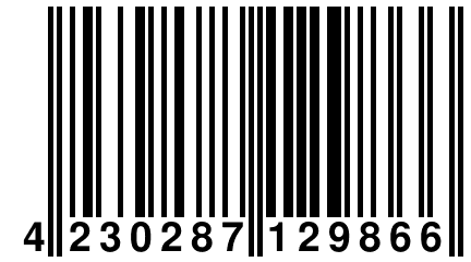 4 230287 129866