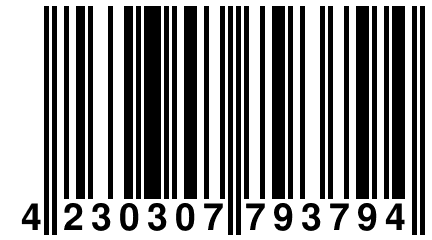 4 230307 793794