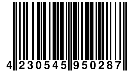 4 230545 950287