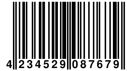 4 234529 087679