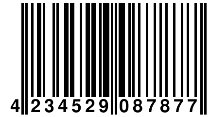 4 234529 087877