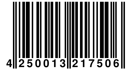 4 250013 217506