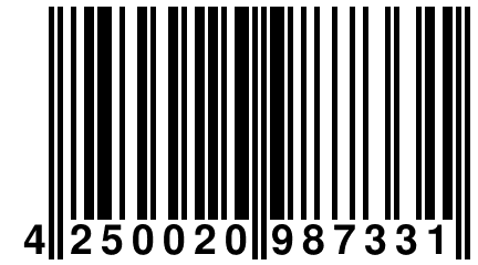 4 250020 987331