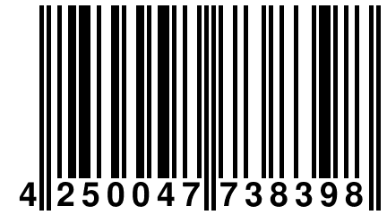 4 250047 738398