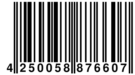 4 250058 876607