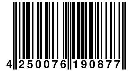 4 250076 190877