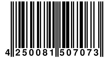 4 250081 507073