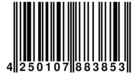 4 250107 883853