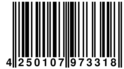 4 250107 973318