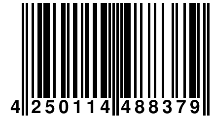 4 250114 488379