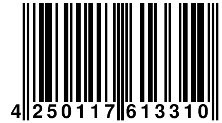 4 250117 613310