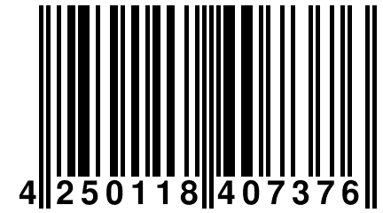 4 250118 407376