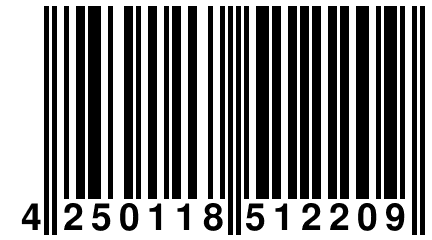 4 250118 512209