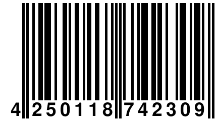 4 250118 742309