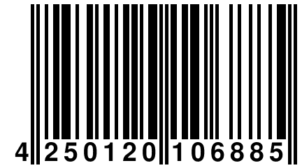 4 250120 106885