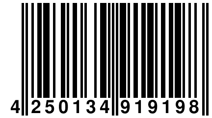 4 250134 919198