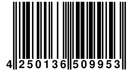 4 250136 509953