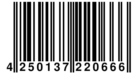 4 250137 220666