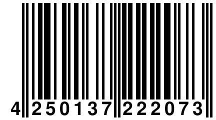 4 250137 222073