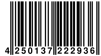 4 250137 222936