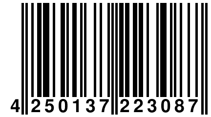 4 250137 223087