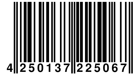 4 250137 225067