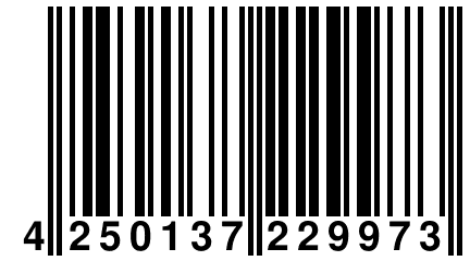 4 250137 229973