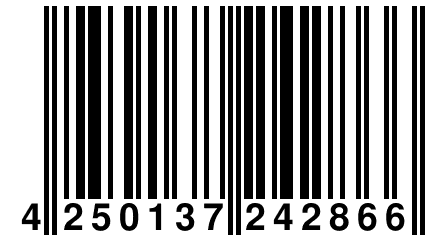 4 250137 242866