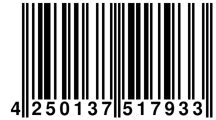 4 250137 517933