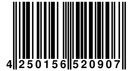 4 250156 520907