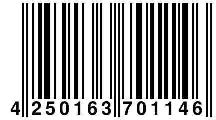 4 250163 701146