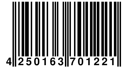 4 250163 701221