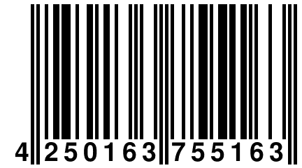 4 250163 755163